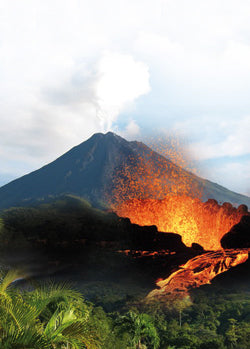 schwarzes Hawaii Salz Black Lava