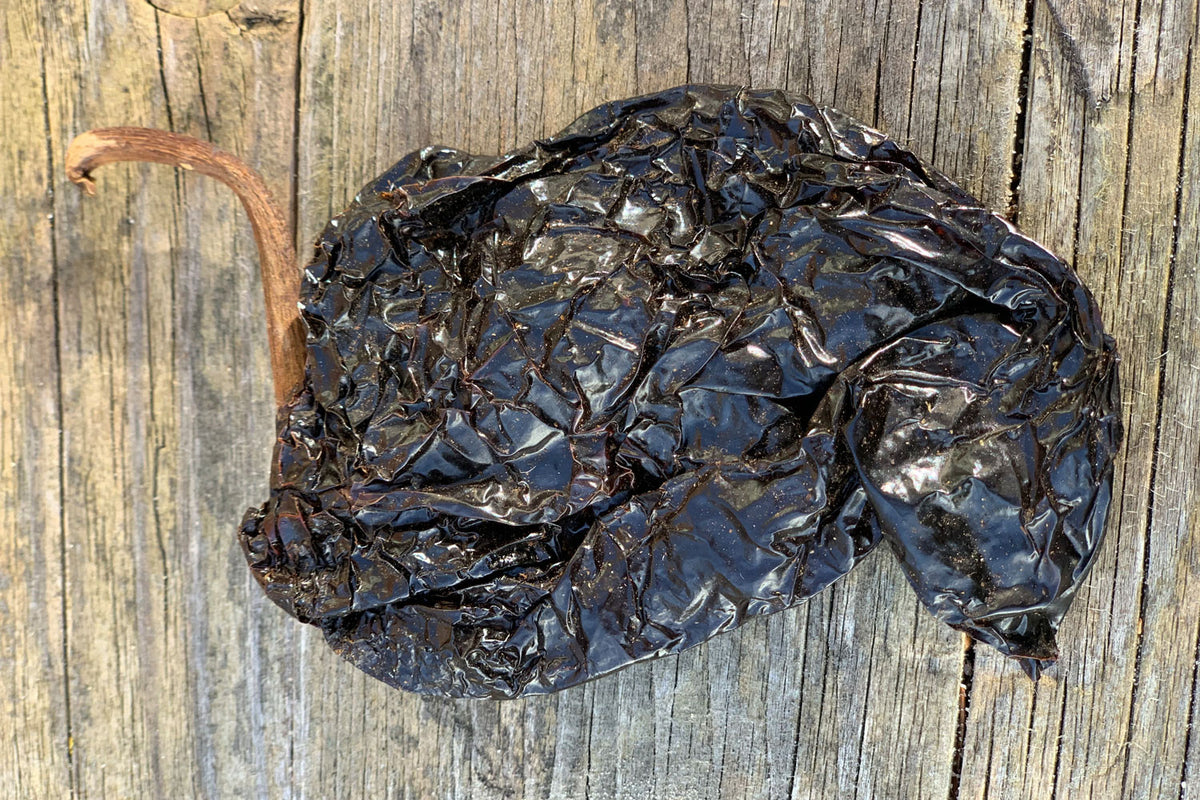 Mulato Poblano Chili