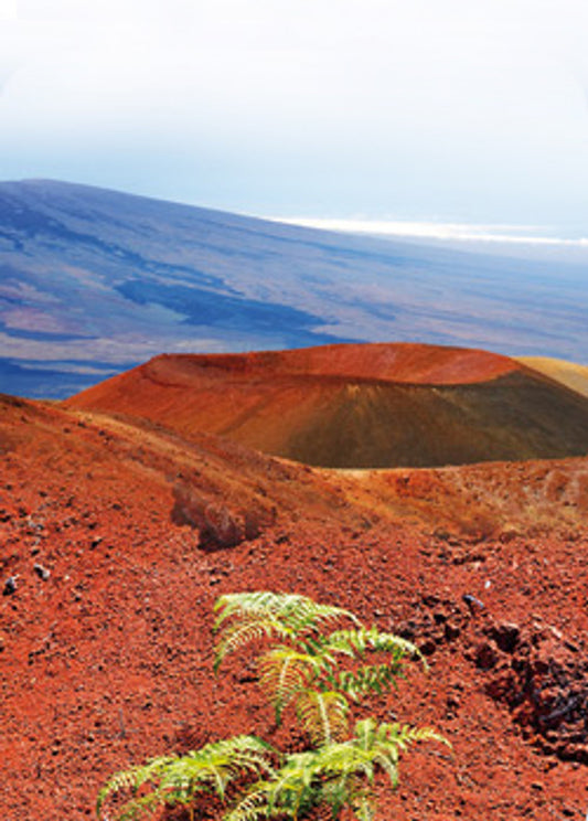rotes Hawaii Salz - Alaea Red Gold