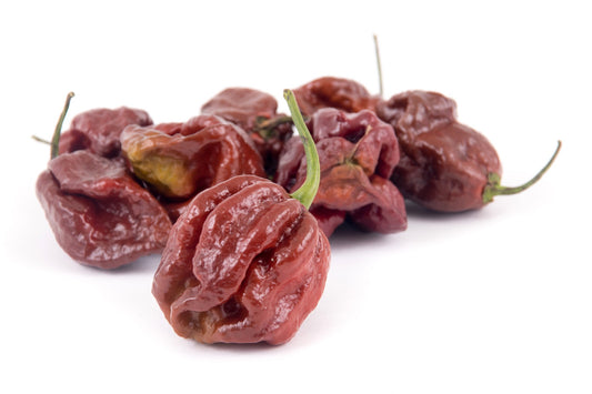 Trinidad Scorpion ganz